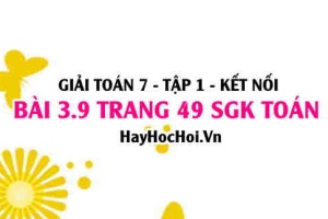 Giải bài 3.9 trang 49 Toán 7 Tập 1 SGK Kết nối tri thức